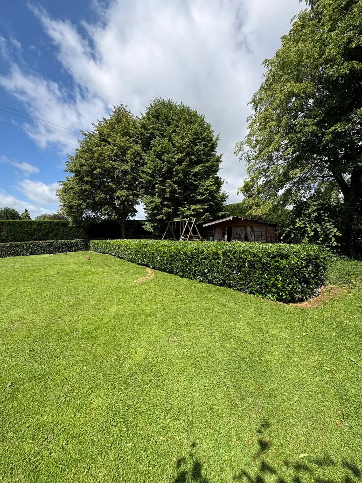 Benoit, votre jardinier de proximité