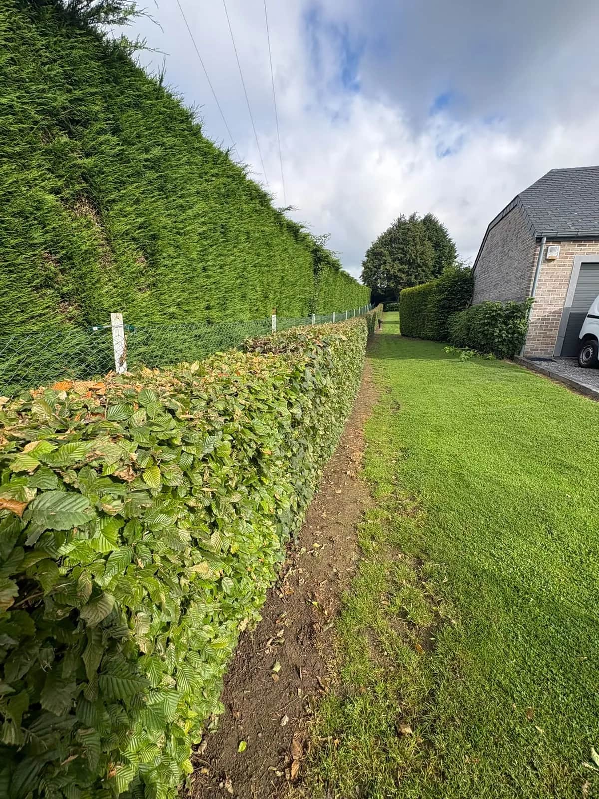 Ben Garden, chantier de jardinage