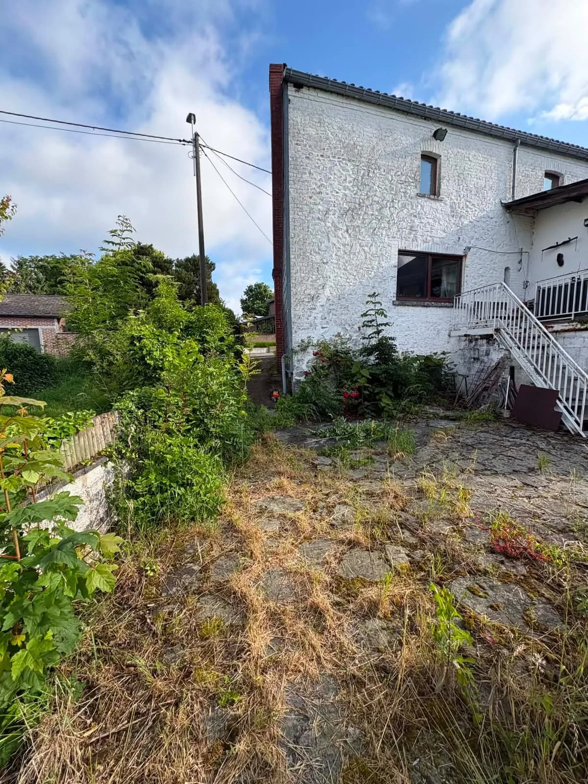 Cour et abords envahis par les herbes hautes avant intervention